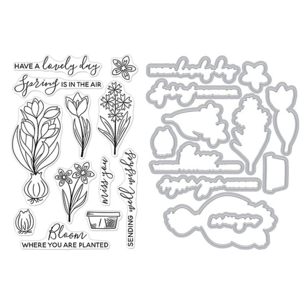 Spring Blooms Stamp & Cut of the Month - February 2025