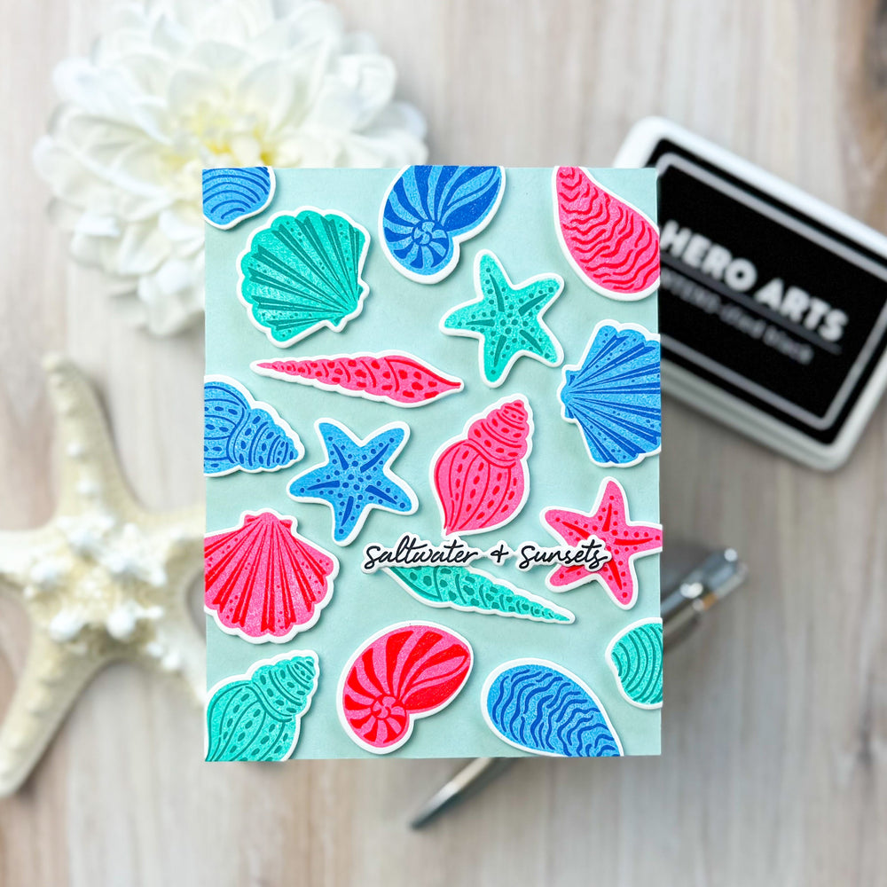 Seashells Stamp & Cut Set of the Month - June 2025