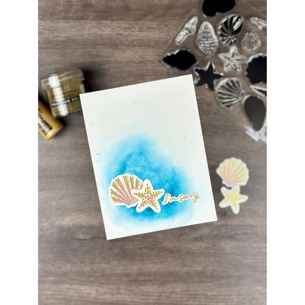 Seashells Stamp & Cut Set of the Month - June 2025
