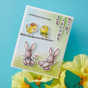 Spring Smiles -  (Dies Only) Coordinates with the Clear Stamp of the Month