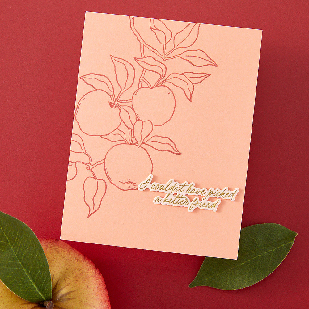 Apple Branch Clear Stamp Set