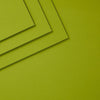 Rainforest ColorWheel Cardstock 12