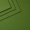 Fern ColorWheel Cardstock 12