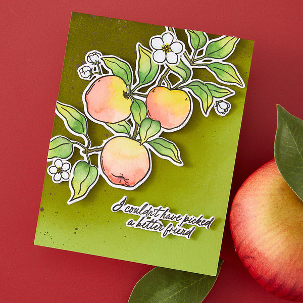 Apple Branch Clear Stamp Set