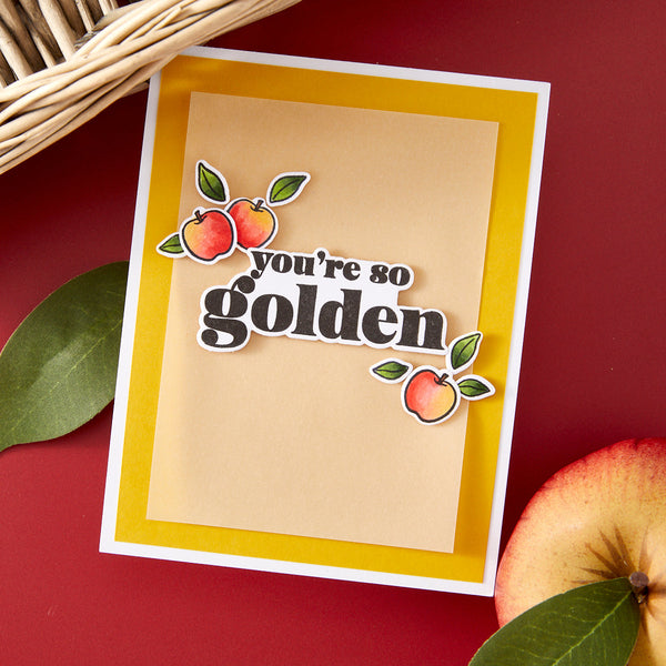 You're Golden Stamp & Cut Set