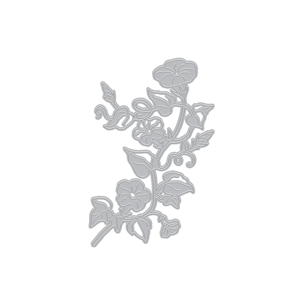 Morning Glory Die