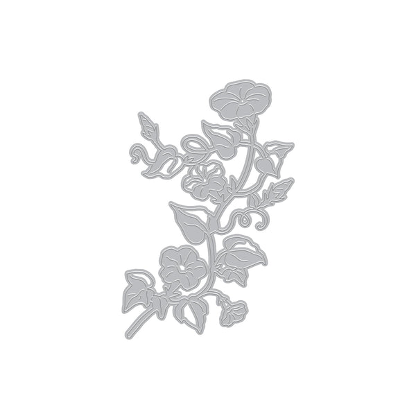 Morning Glory Die
