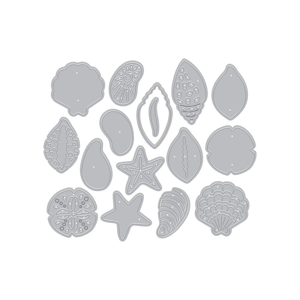 Sophisticated Shells Etched Die Set