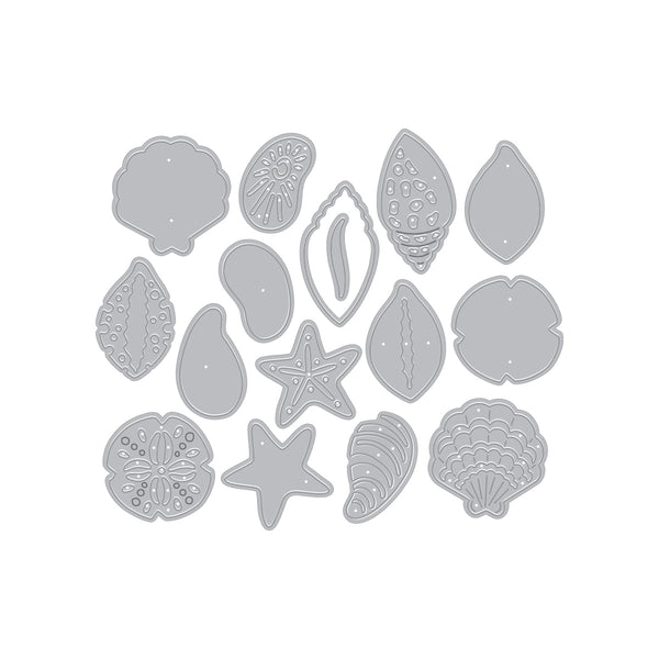 Sophisticated Shells Etched Die Set