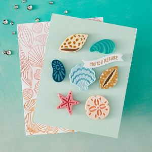 Sophisticated Shells Etched Die Set