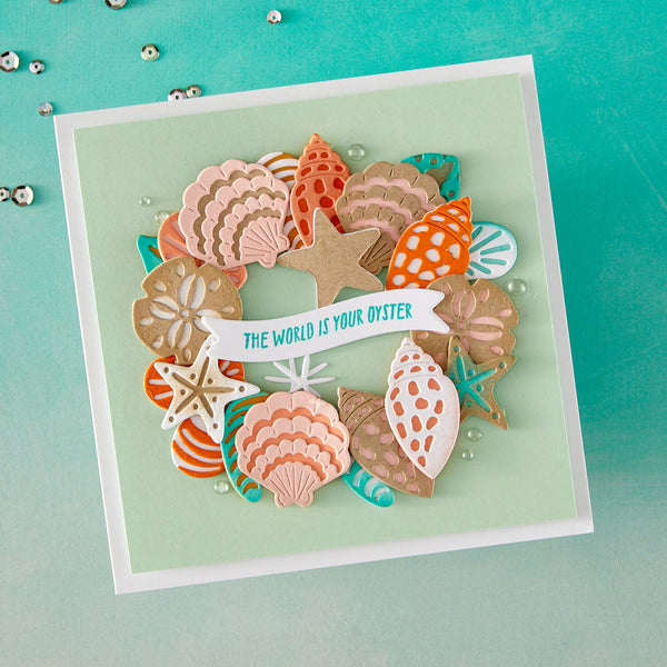 Sophisticated Shells Etched Die Set