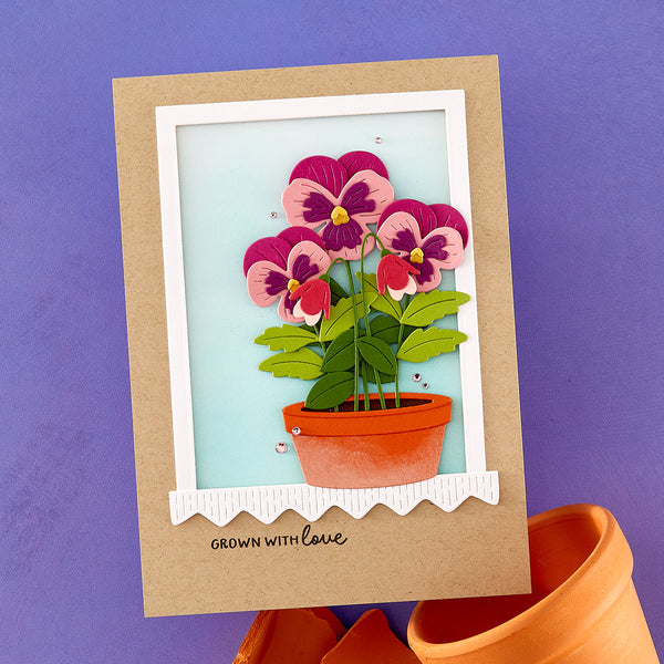 Pansy Seed Co. - Small Die of the Month