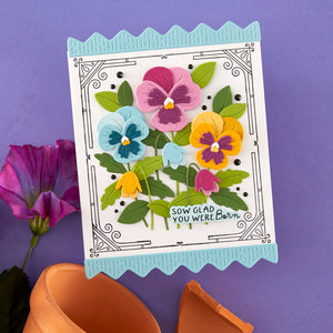 Pansy Seed Co. - Small Die of the Month