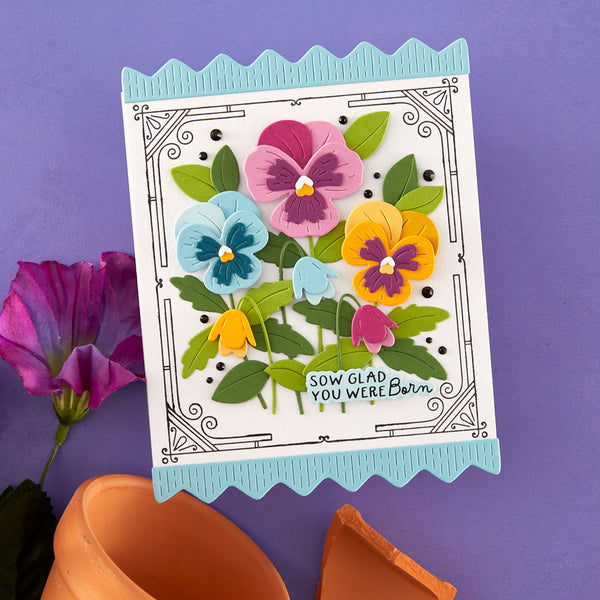 Pansy Seed Co. - Small Die of the Month