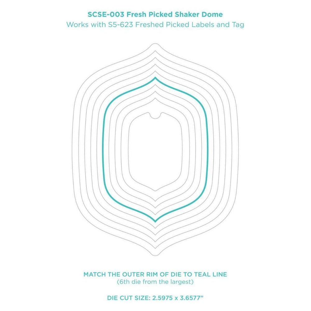 Fresh Picked Shaker Dome - 6 Pack