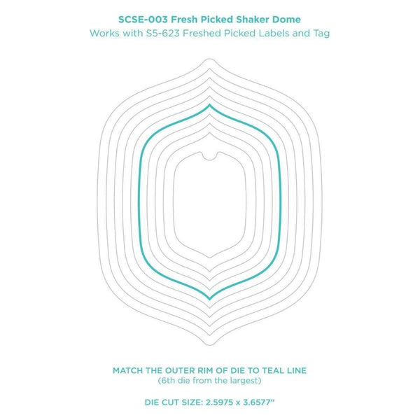 Fresh Picked Shaker Dome - 6 Pack