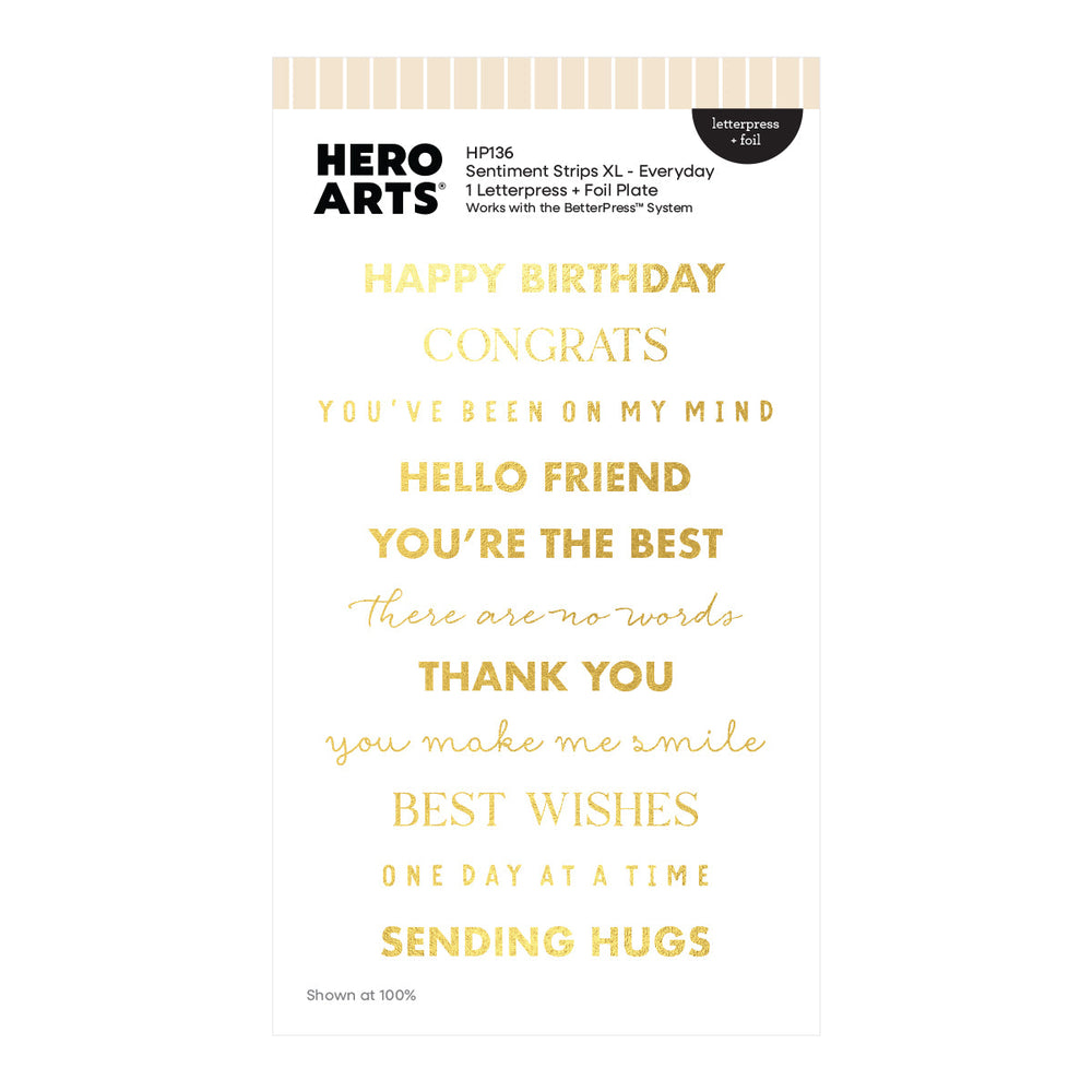 Sentiment Strips XL - Everyday Letterpress + Foil