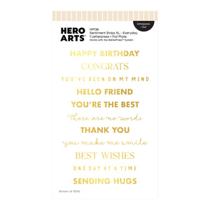 Sentiment Strips XL - Everyday Letterpress + Foil