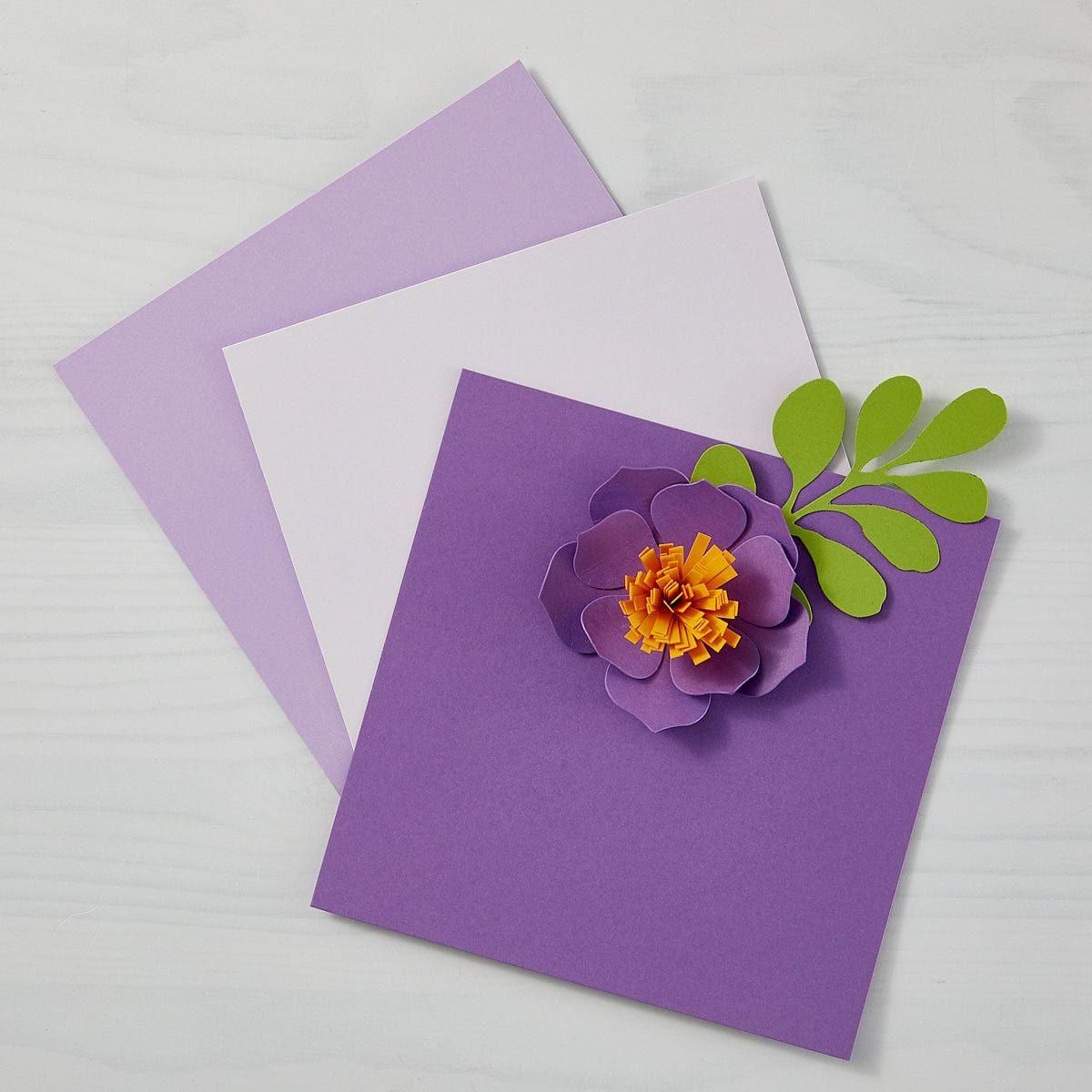 Fairy Tale ColorWheel Cardstock 12