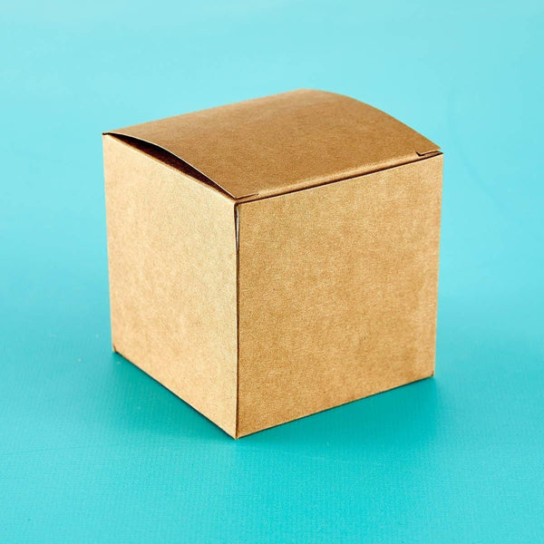 Clearbags - Kraft Pop & Lock Box 25pk