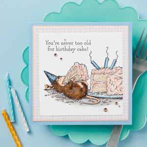 House-Mouse Summer Fun Collector Bundle