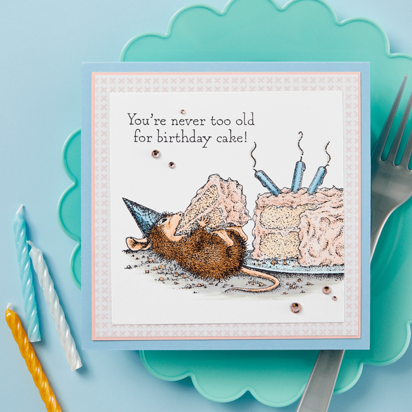 House-Mouse Summer Fun Collector Bundle
