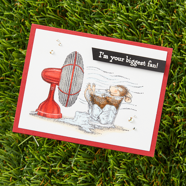 House-Mouse Summer Fun Collector Bundle