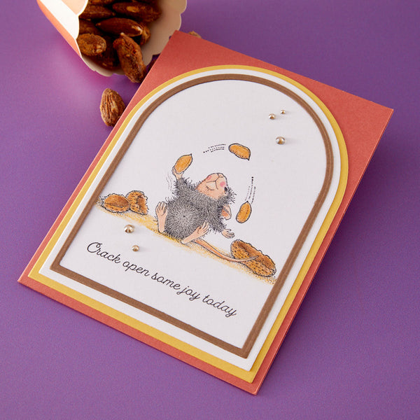 House-Mouse Nuts about You Cling Stamp Set