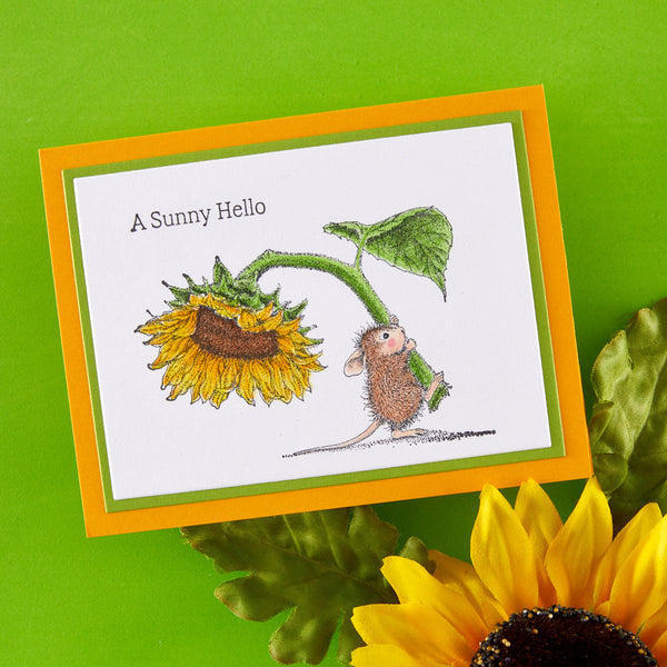 House-Mouse Sunflower Walk Collector Bundle