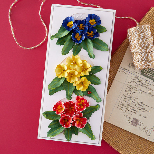 Primrose Etched Dies by Susan Tierney-Cockburn