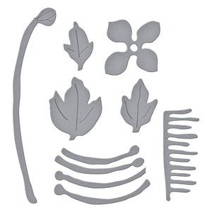 Chinese Meadow Rue Etched Dies by Susan Tierney-Cockburn
