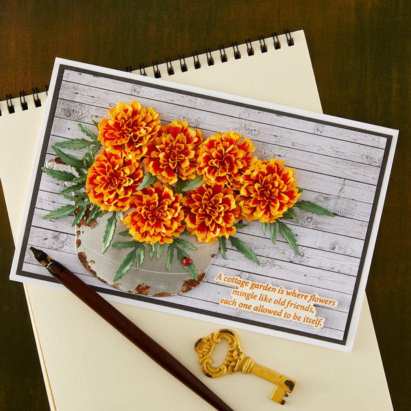 Marigold Etched Dies by Susan Tierney-Cockburn