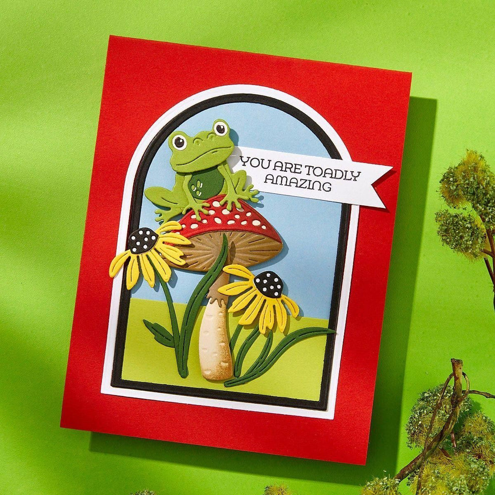 Jump for Joy Froggy Fun Bundle