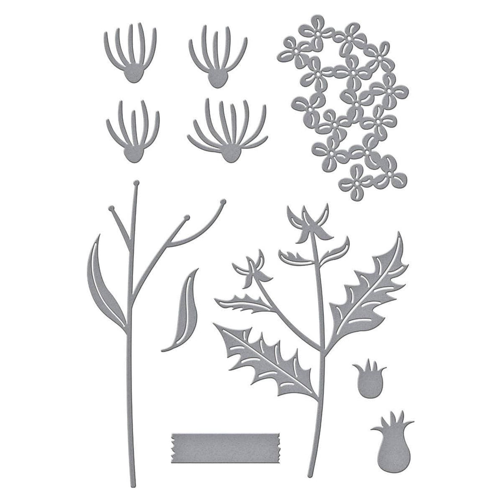 Field Notes Wildflowers Etched Dies