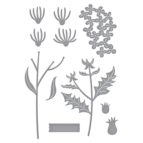 Field Notes Wildflowers Etched Dies