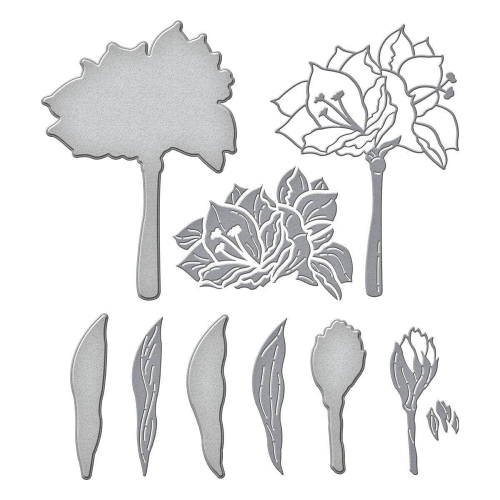 Yana's Amaryllis Etched Dies from the Amaryllis Christmas Collection by Yana Smakula