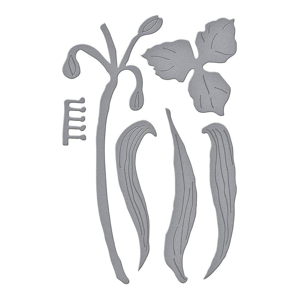 Spiderwort Etched Dies by Susan Tierney-Cockburn