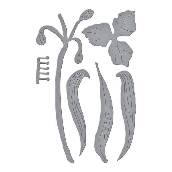 Spiderwort Etched Dies by Susan Tierney-Cockburn