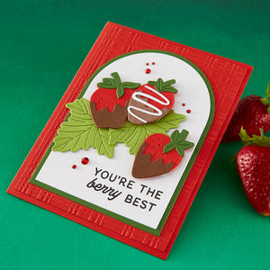 Berry Best Stamp & Die Bundle by Simon Hurley