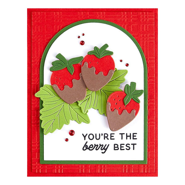 Berry Best Stamp & Die Bundle by Simon Hurley