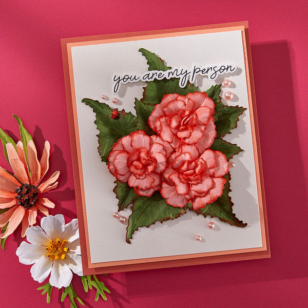Summer Solstice Garden Die Bundle
