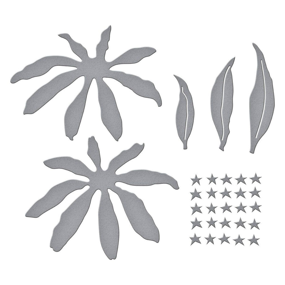 Echinacea (Coneflower) Etched Dies by Susan Tierney-Cockburn