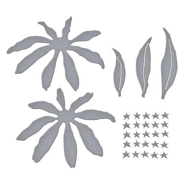 Echinacea (Coneflower) Etched Dies by Susan Tierney-Cockburn