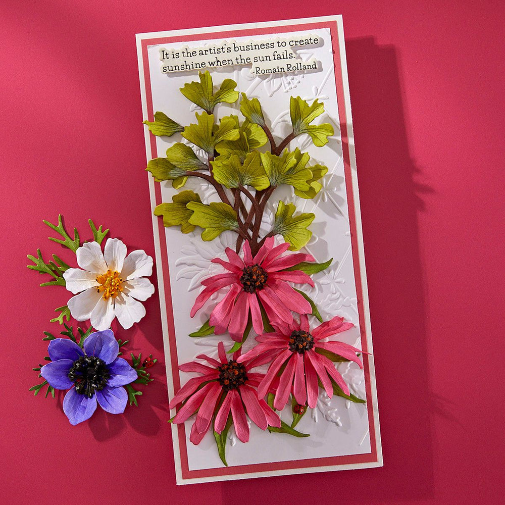 Echinacea (Coneflower) Etched Dies by Susan Tierney-Cockburn