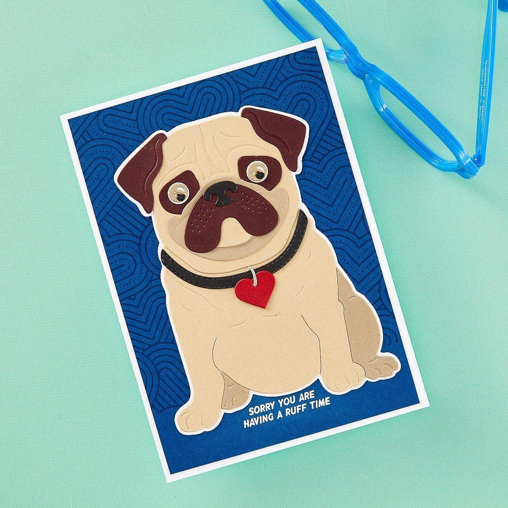 Cats and Pugs Sentiments Clear Stamp Set from the Bibi's Cats and Pugs Collection by Bibi Cameron