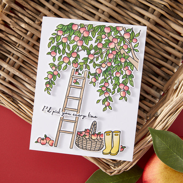 In The Orchard Stamp & Cut & Stencil Bundle