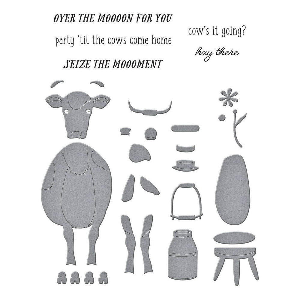 Hay There Clear Stamp & Die Set