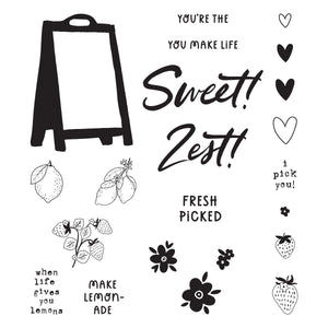 Simple Stories Pink Lemonade Clear Stamp Set