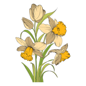 Yana's Tulips I Want It All! Bundle by Yana Smakula