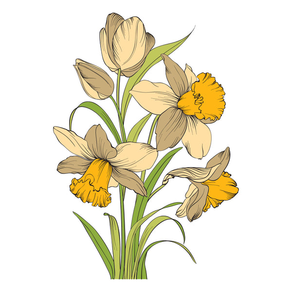 Yana's Tulips I Want It All! Bundle by Yana Smakula
